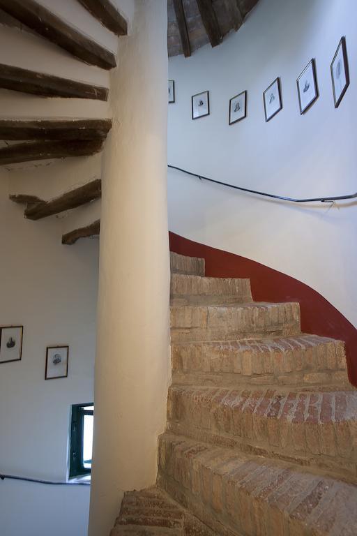 Gasthaus Fattoria Della Gioiosa - Agriturismo La Gelinda Casale Marittimo Exterior foto